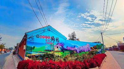 当墙绘遇上美丽乡村，天津李大人村惊现“网红”彩绘墙！